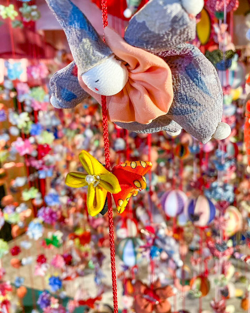 みろく院善福寺・松阪まちなかお雛さま祭り、2月春、三重県松阪市の観光・撮影スポットの名所