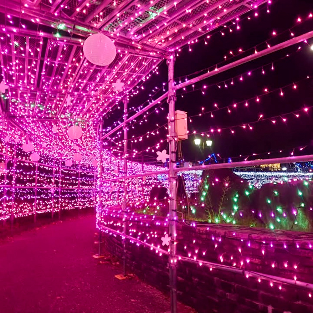 イルミネーションフェスタinあま 、12月冬、愛知県あま市の観光・撮影スポットの画像と写真