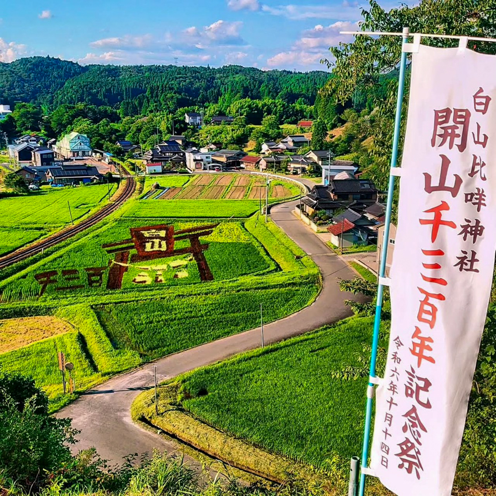 イワクラ公園展望台・田んぼアート、10月秋、岐阜県恵那市の観光・撮影スポットの名所