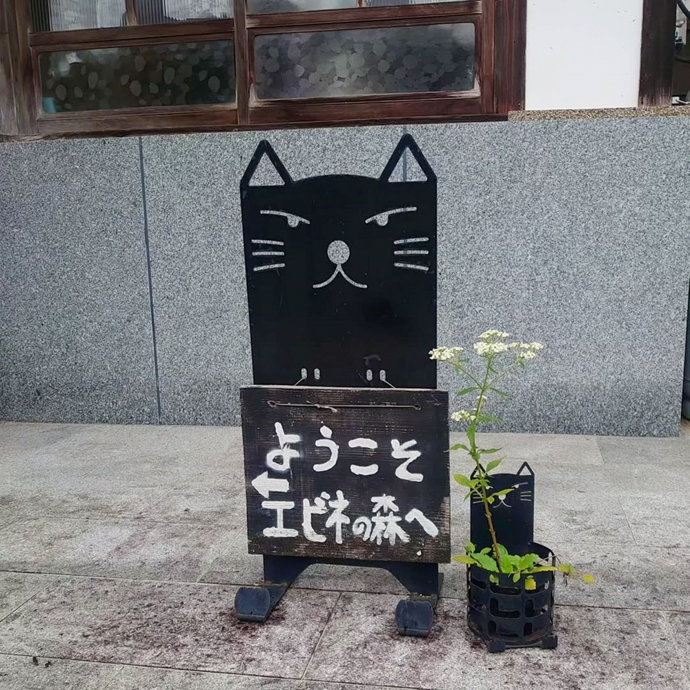 エビネの森、愛知県豊田市の観光・撮影スポットの画像と写真