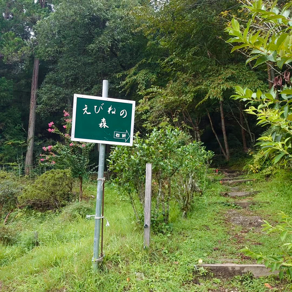 エビネの森、愛知県豊田市の観光・撮影スポットの画像と写真