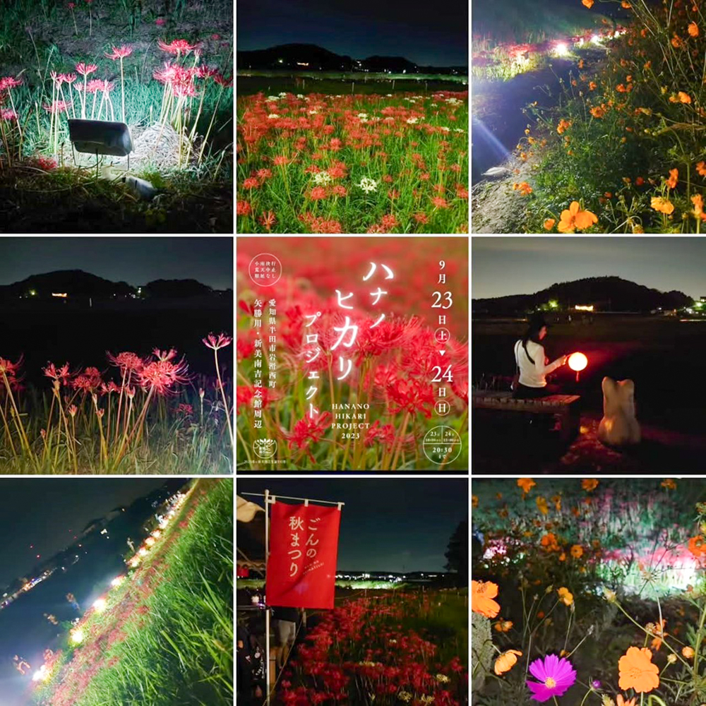 矢勝川、ハナノヒカリプロジェクト、彼岸花、ごんの秋まつり、9月の秋の花、愛知県半田市の観光・撮影スポットの画像と写真