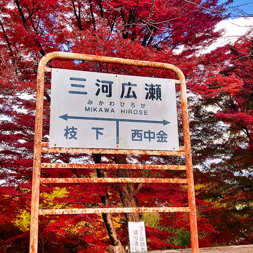 三河広瀬駅 ・紅葉・四季桜、11月秋、愛知県豊田市の観光・撮影スポットの名所