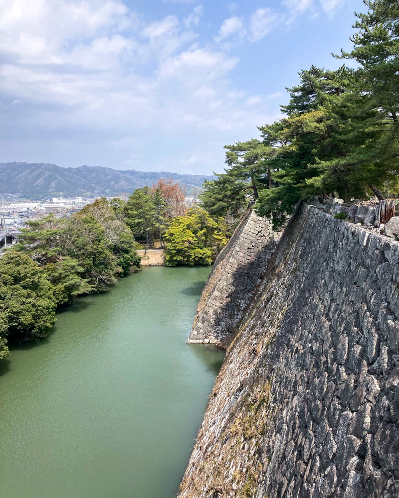 伊賀上野城、桜、３月春の花、三重県伊賀市の観光・撮影スポットの名所