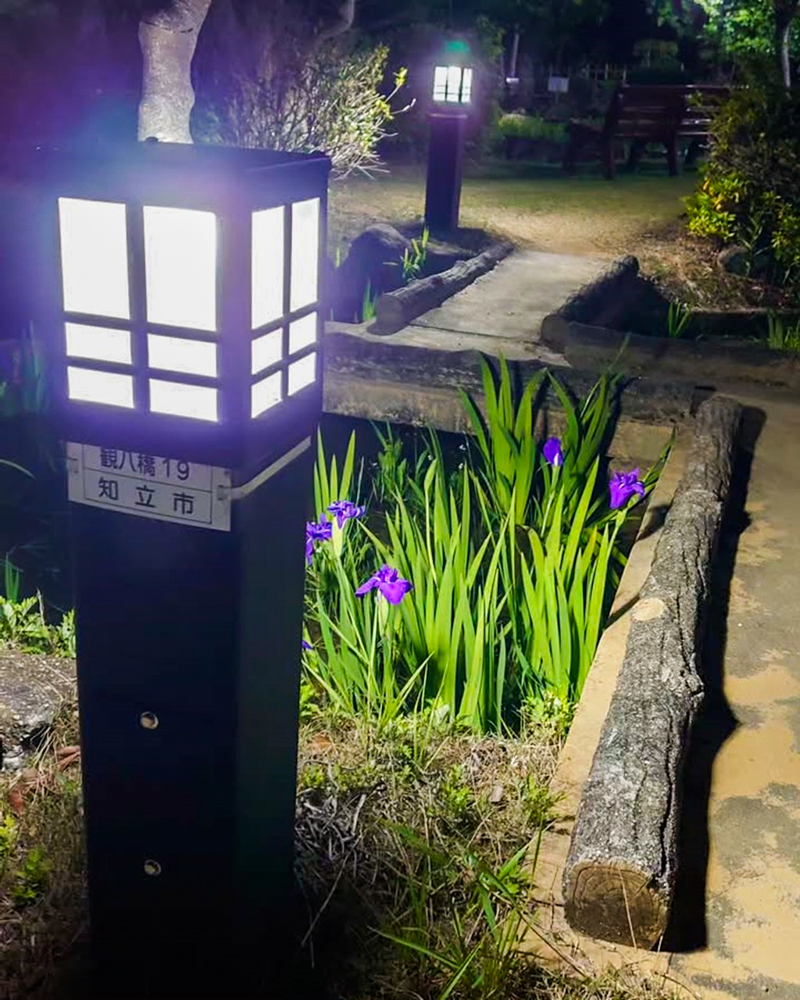 八橋のかきつばた、ライトアップ、無量寿寺、5月の夏の花、愛知県知立市の観光・撮影スポットの画像と写真