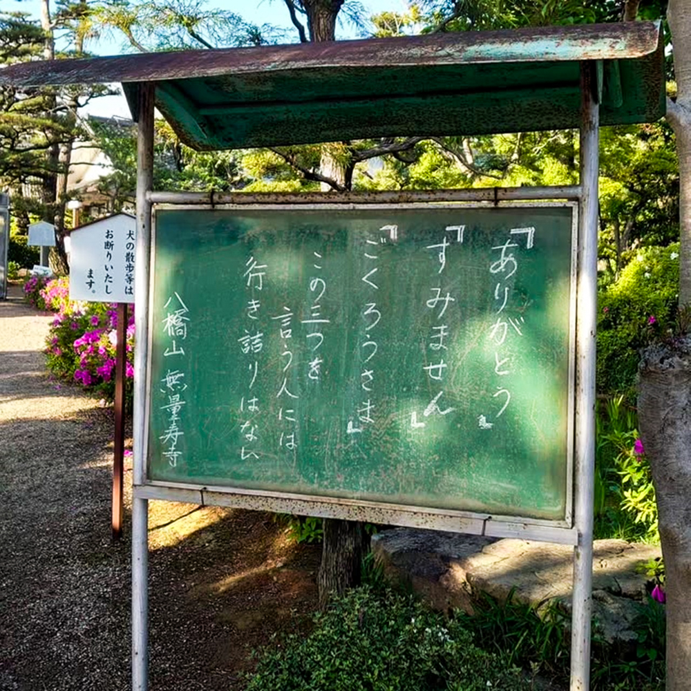 八橋のかきつばた、無量寿寺、5月の夏の花、愛知県知立市の観光・撮影スポットの画像と写真