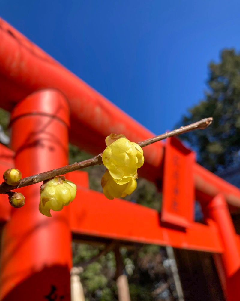 加佐登神社、1月冬、三重県鈴鹿市の観光・撮影スポットの名所