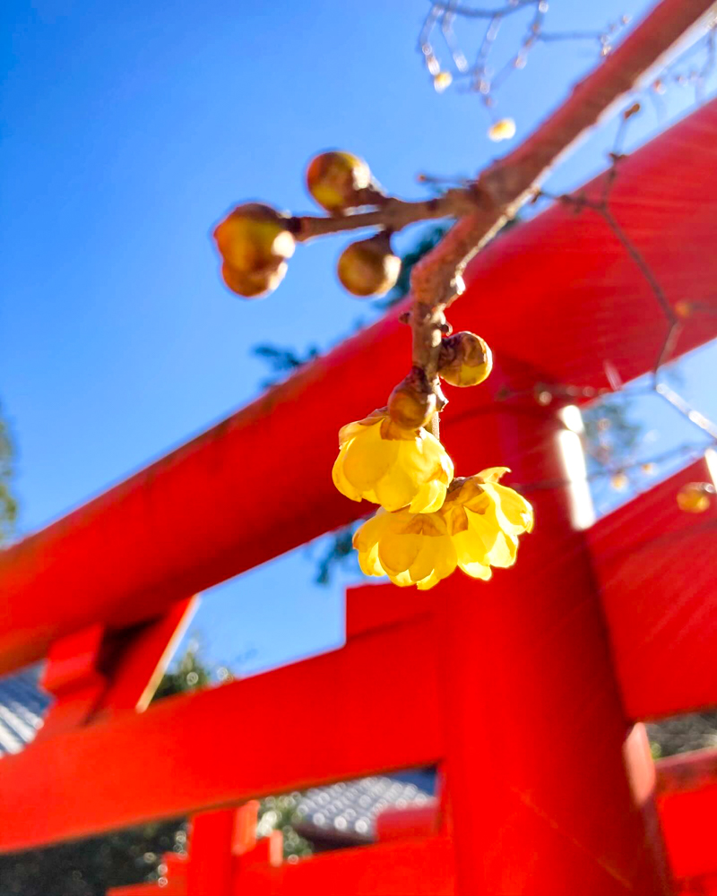 加佐登神社、1月冬、三重県鈴鹿市の観光・撮影スポットの名所