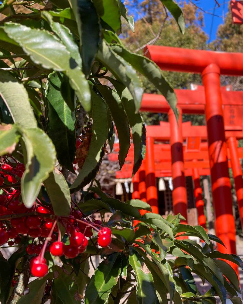 加佐登神社、1月冬、三重県鈴鹿市の観光・撮影スポットの名所