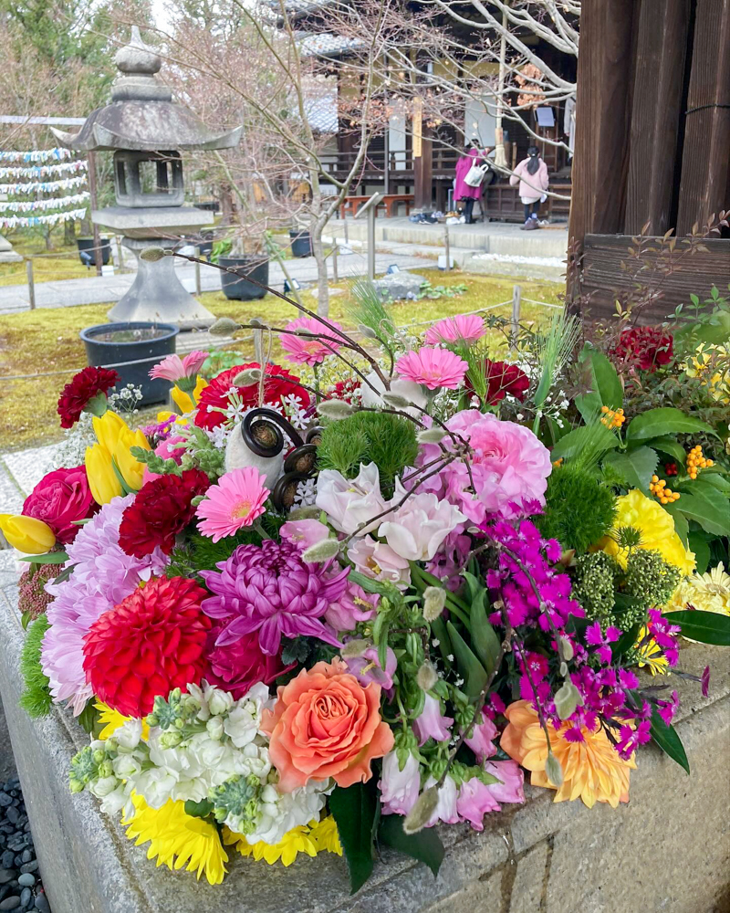 京都勝林寺 、花手水舎、3月春の花、京都府京都市の観光・撮影スポットの名所