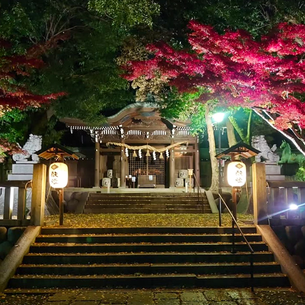 堤治神社、黄葉ライトアップ、11月秋、愛知県一宮市の観光・撮影スポットの画像と写真