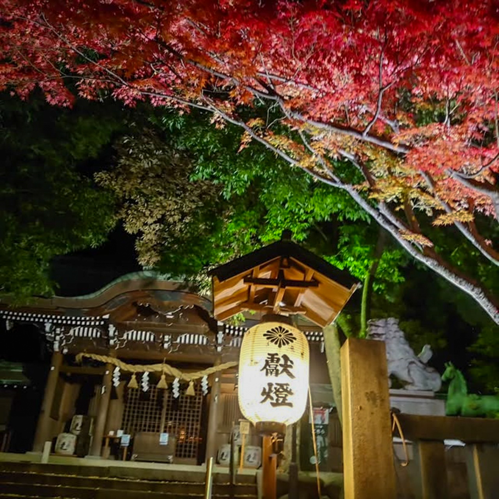 堤治神社、黄葉ライトアップ、11月秋、愛知県一宮市の観光・撮影スポットの画像と写真