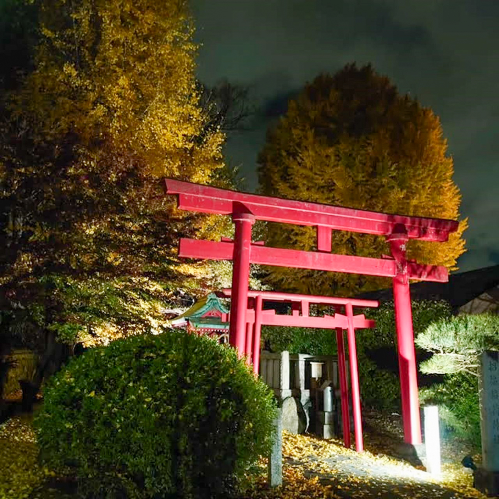 堤治神社、黄葉ライトアップ、11月秋、愛知県一宮市の観光・撮影スポットの画像と写真