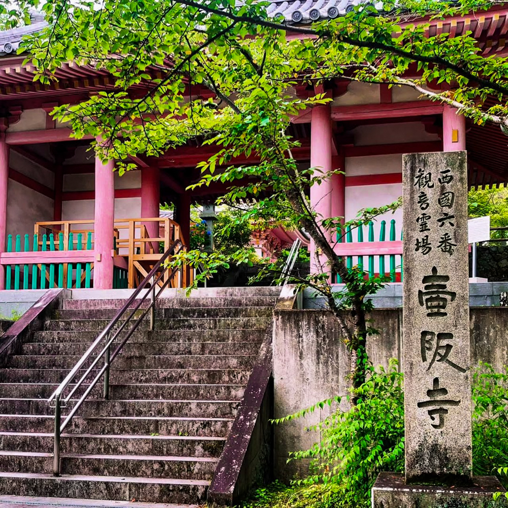 壷阪寺、6月の夏、奈良県高市郡高取町の観光・撮影スポットの名所