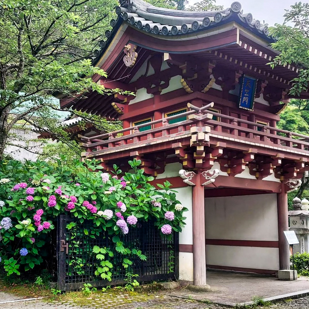 壷阪寺、6月の夏、奈良県高市郡高取町の観光・撮影スポットの名所