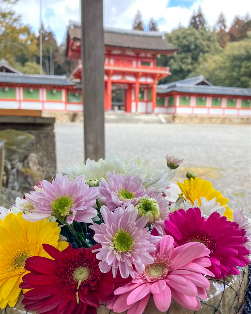 大鳥神社、花手水舎、2月冬、滋賀県甲賀市の観光・撮影スポットの名所