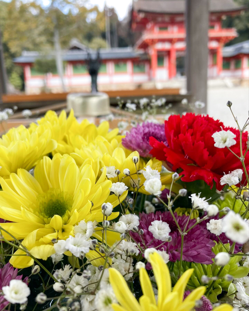 大鳥神社、花手水舎、2月冬、滋賀県甲賀市の観光・撮影スポットの名所