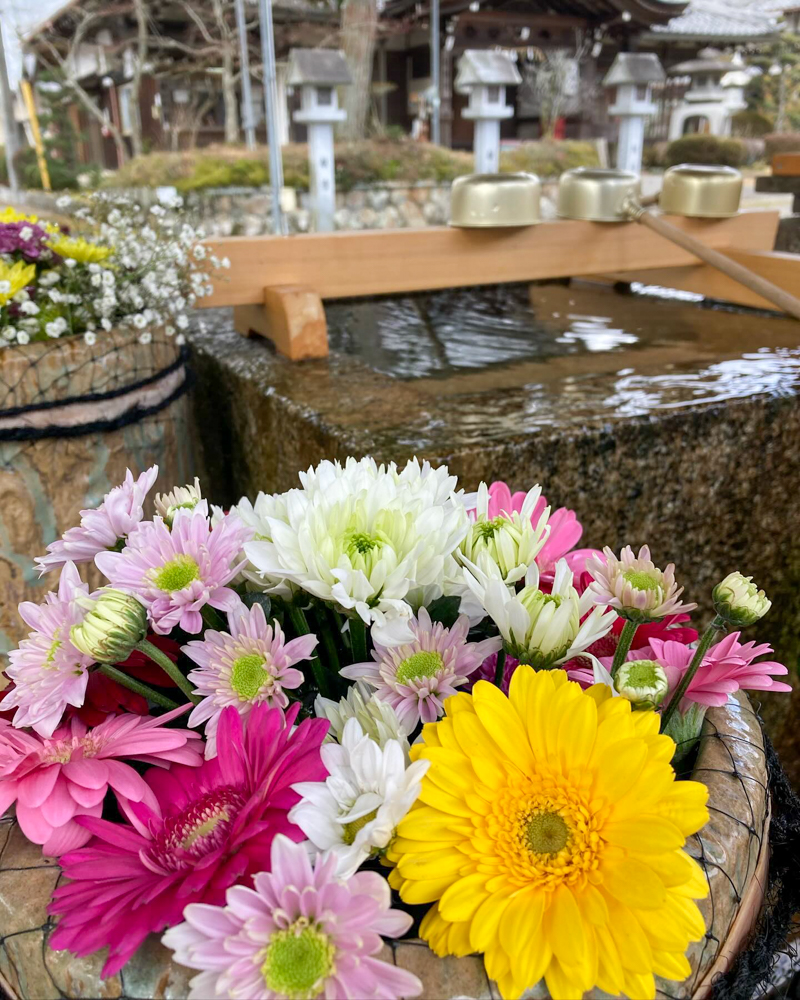 大鳥神社、花手水舎、2月冬、滋賀県甲賀市の観光・撮影スポットの名所