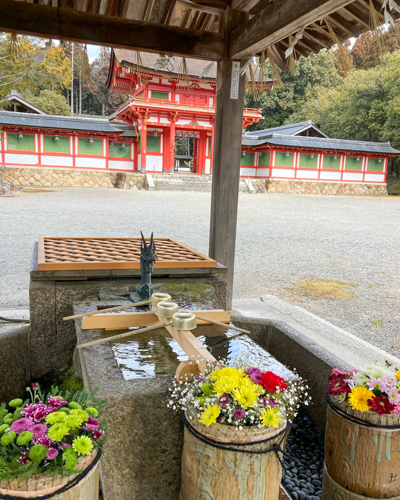 大鳥神社、花手水舎、2月冬、滋賀県甲賀市の観光・撮影スポットの名所