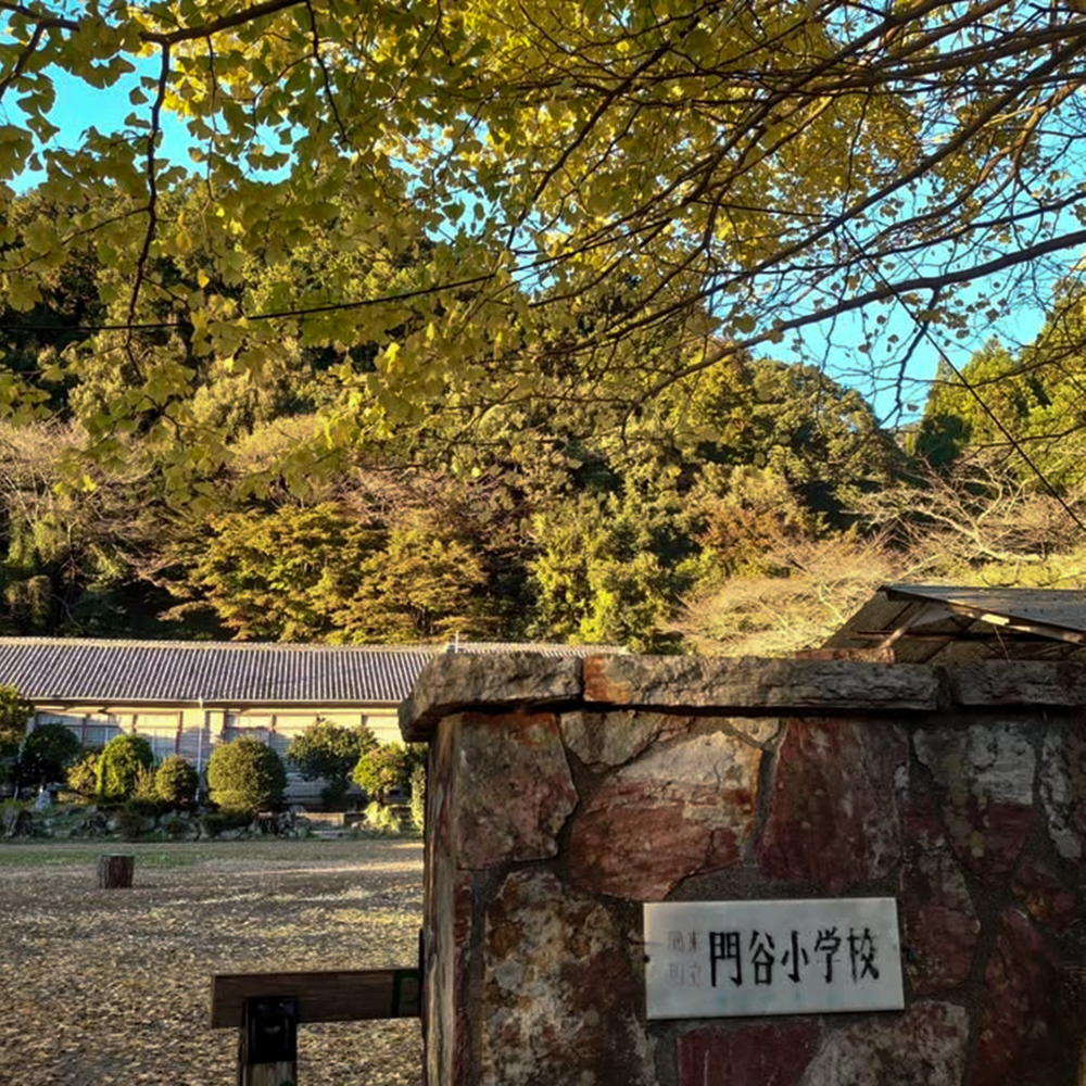 旧門谷小学校、紅葉、黄葉、11月秋、愛知県新城市の観光・撮影スポットの画像と写真