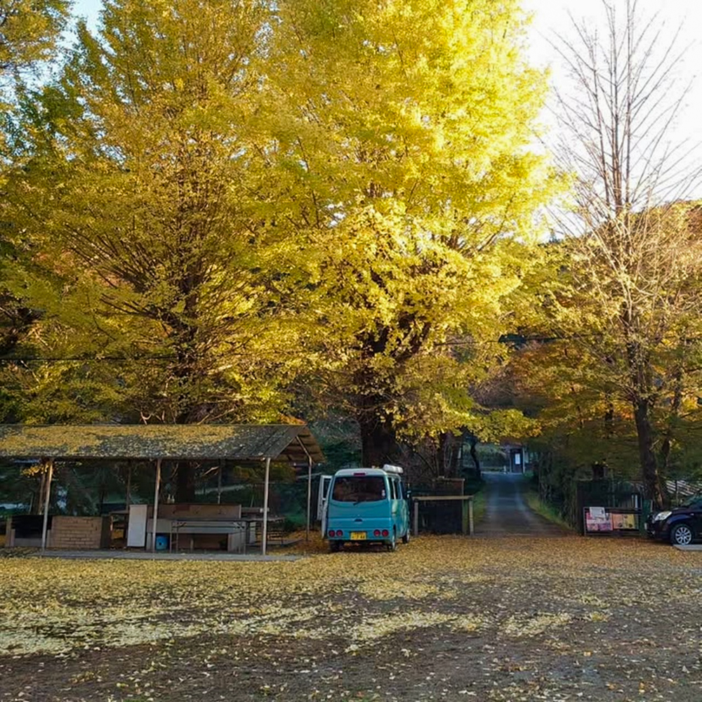 旧門谷小学校、紅葉、黄葉、11月秋、愛知県新城市の観光・撮影スポットの画像と写真