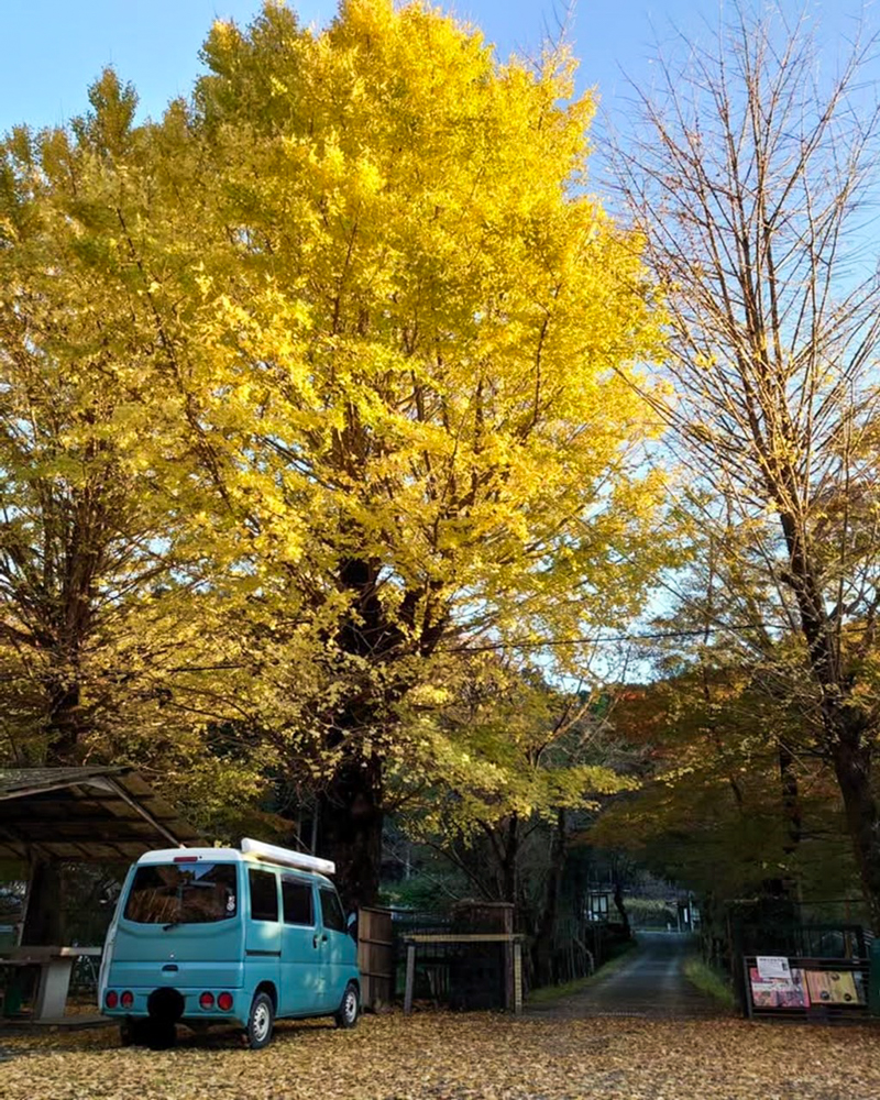 旧門谷小学校、紅葉、黄葉、11月秋、愛知県新城市の観光・撮影スポットの画像と写真