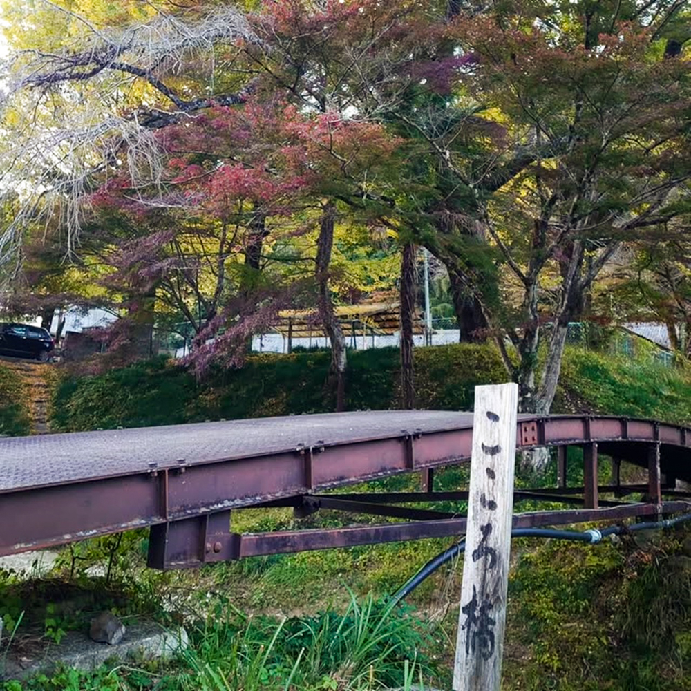 旧門谷小学校、紅葉、黄葉、11月秋、愛知県新城市の観光・撮影スポットの画像と写真