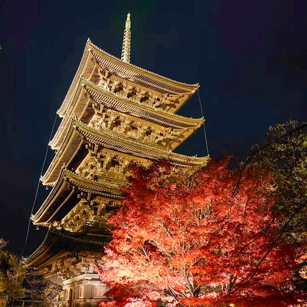 東寺、五重塔・紅葉ライトアップ、日本庭園、11月秋、京都府京都市の観光・撮影スポットの名所