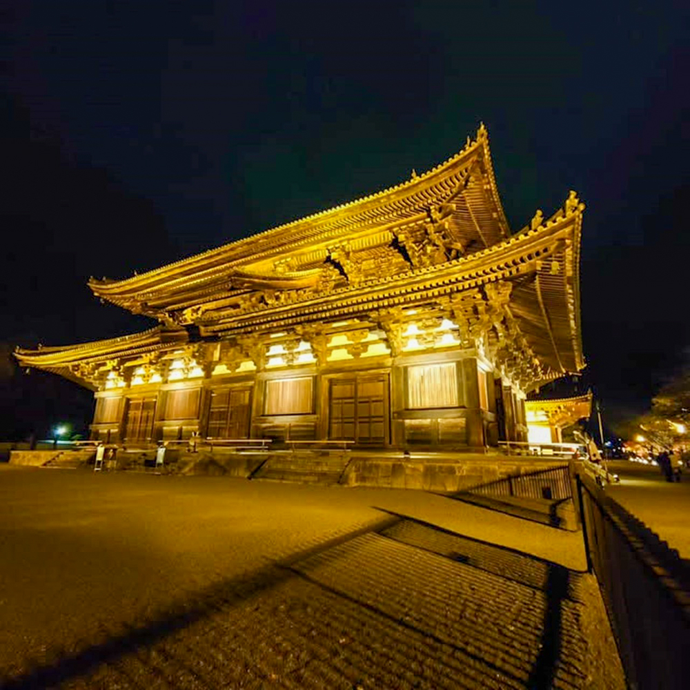 東寺、・ライトアップ、日本庭園、11月秋、京都府京都市の観光・撮影スポットの名所