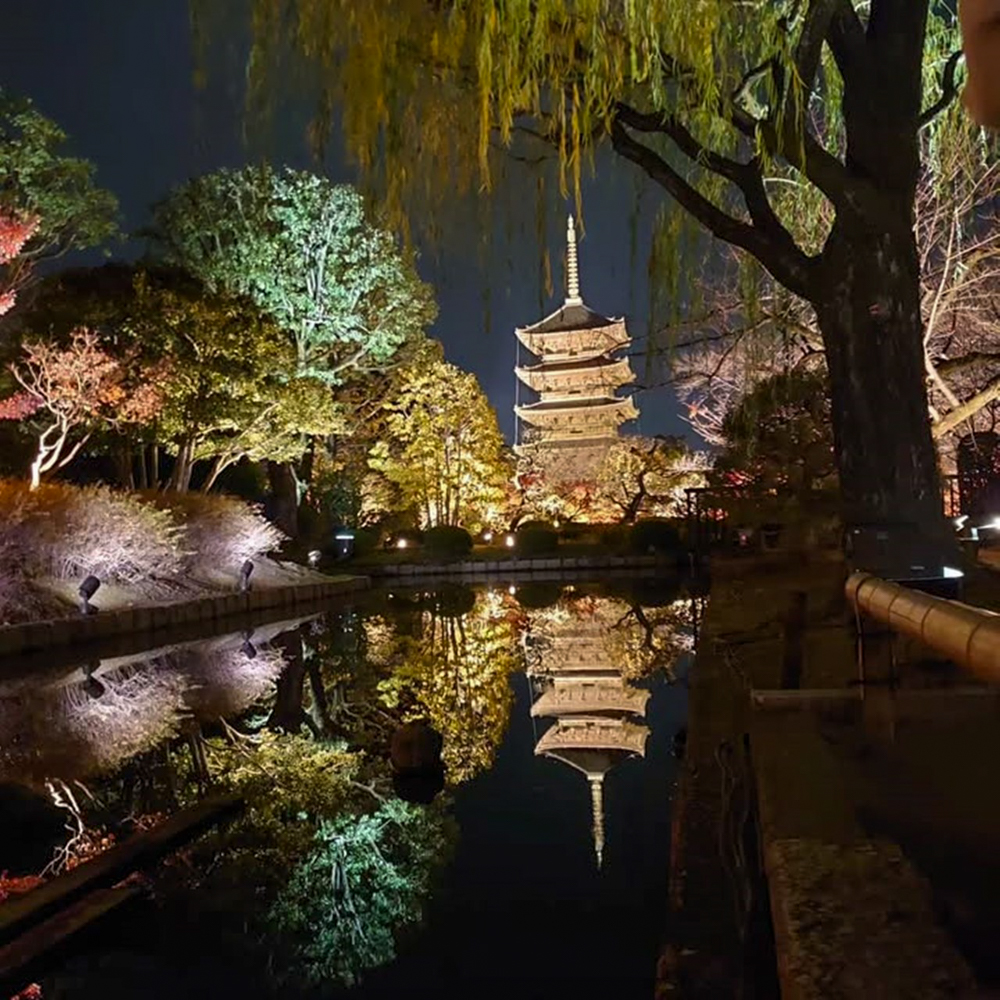 東寺、五重塔・紅葉ライトアップ、日本庭園、11月秋、京都府京都市の観光・撮影スポットの名所