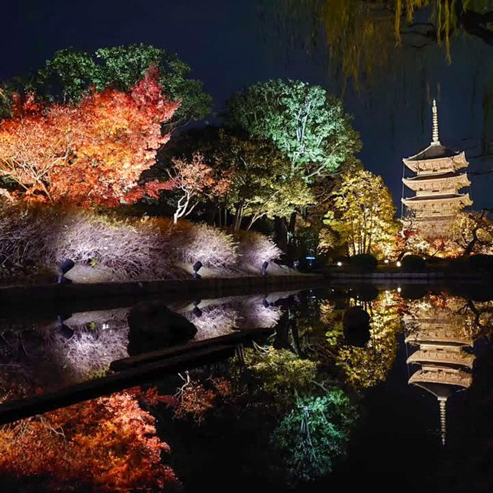 東寺、五重塔・紅葉ライトアップ、日本庭園、11月秋、京都府京都市の観光・撮影スポットの名所