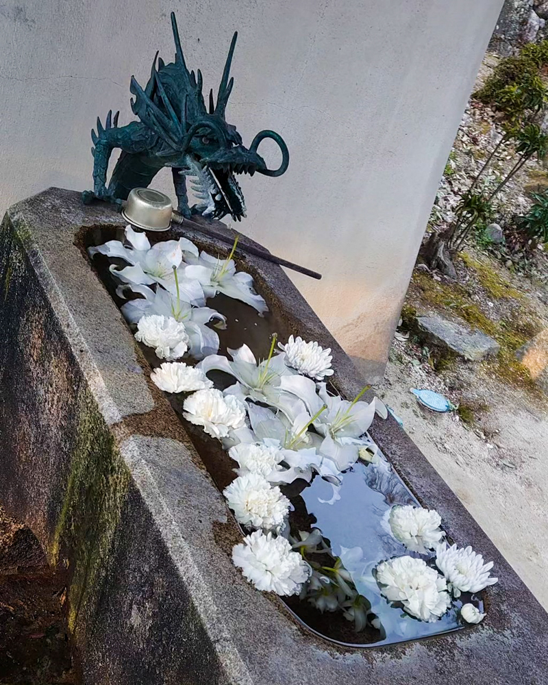 松平郷高月院、花手水舎、3月春の花、愛知県豊田市の観光・撮影スポットの画像と写真水