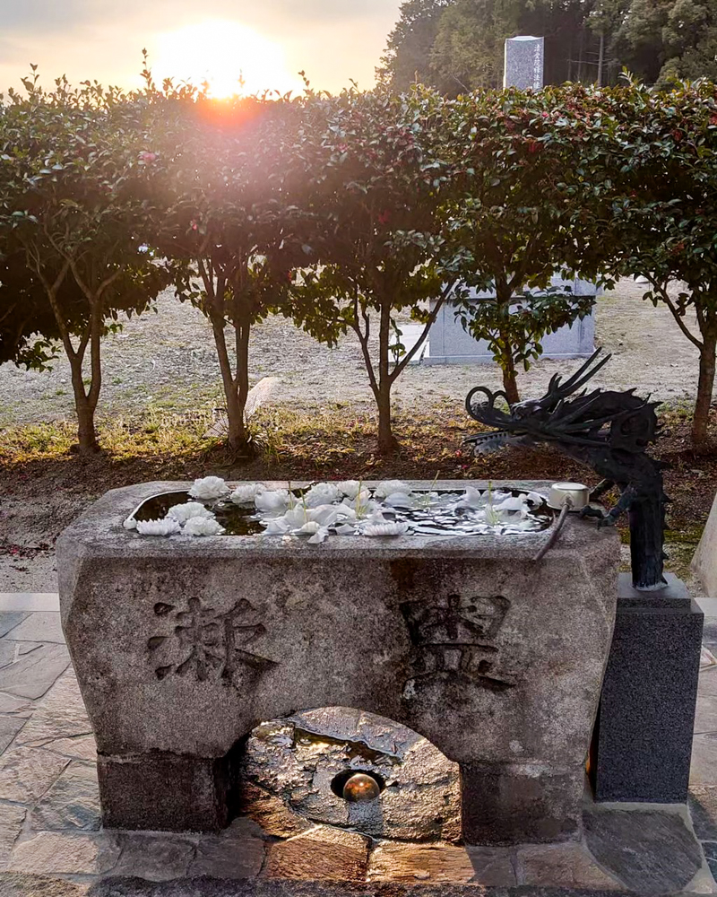 松平郷高月院、花手水舎、3月春の花、愛知県豊田市の観光・撮影スポットの画像と写真水