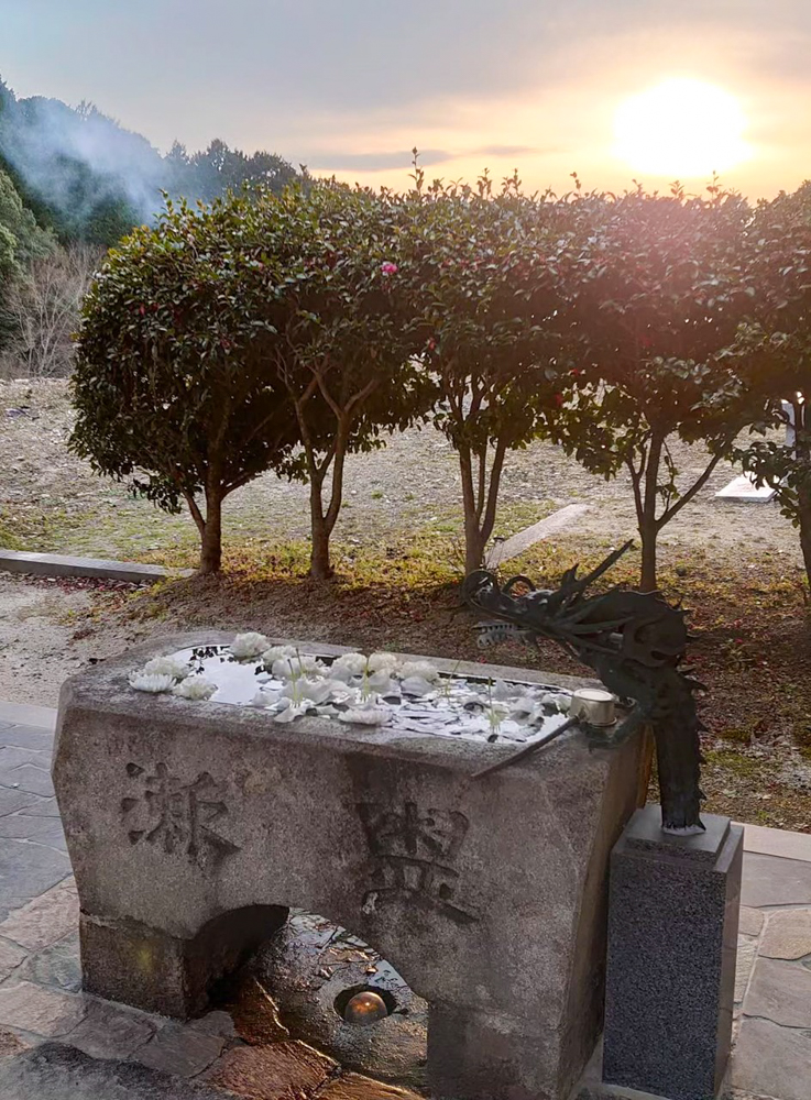 松平郷高月院、花手水舎、3月春の花、愛知県豊田市の観光・撮影スポットの画像と写真水