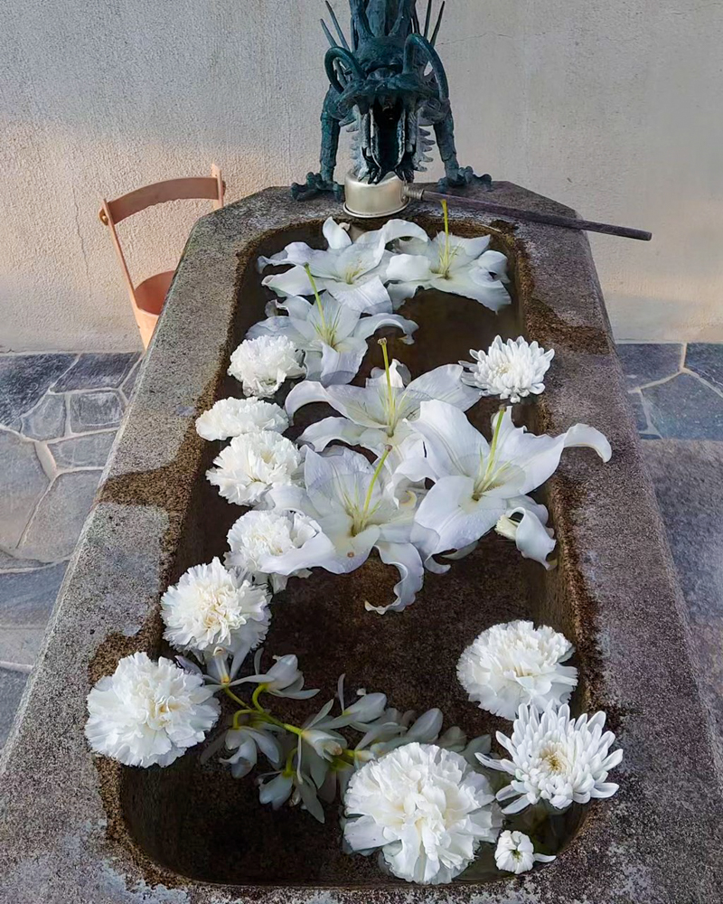 松平郷高月院、花手水舎、3月春の花、愛知県豊田市の観光・撮影スポットの画像と写真水