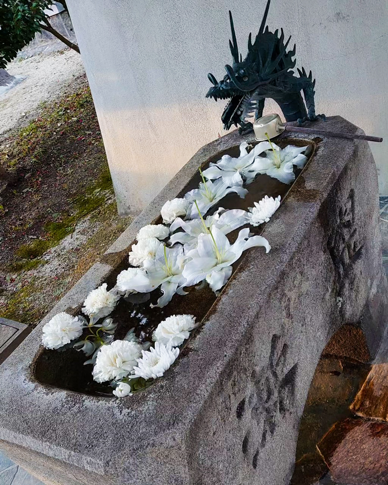 松平郷高月院、花手水舎、3月春の花、愛知県豊田市の観光・撮影スポットの画像と写真水