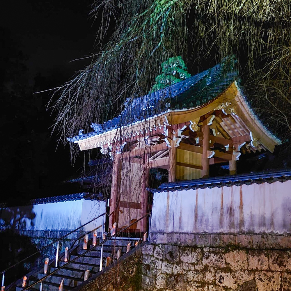 松平郷天下泰平の竹あかり、11月秋、愛知県豊田市の観光・撮影スポットの名所