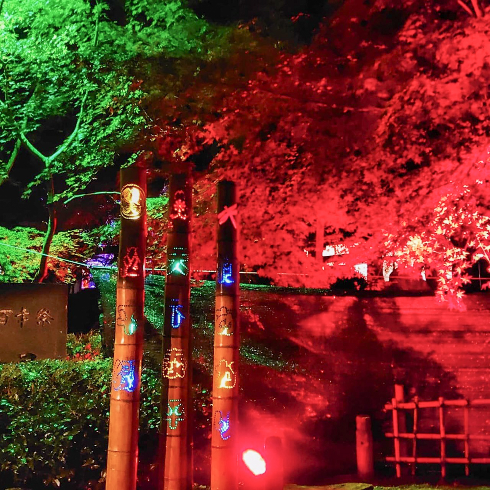 松平郷天下泰平の竹あかり、11月秋、愛知県豊田市の観光・撮影スポットの名所