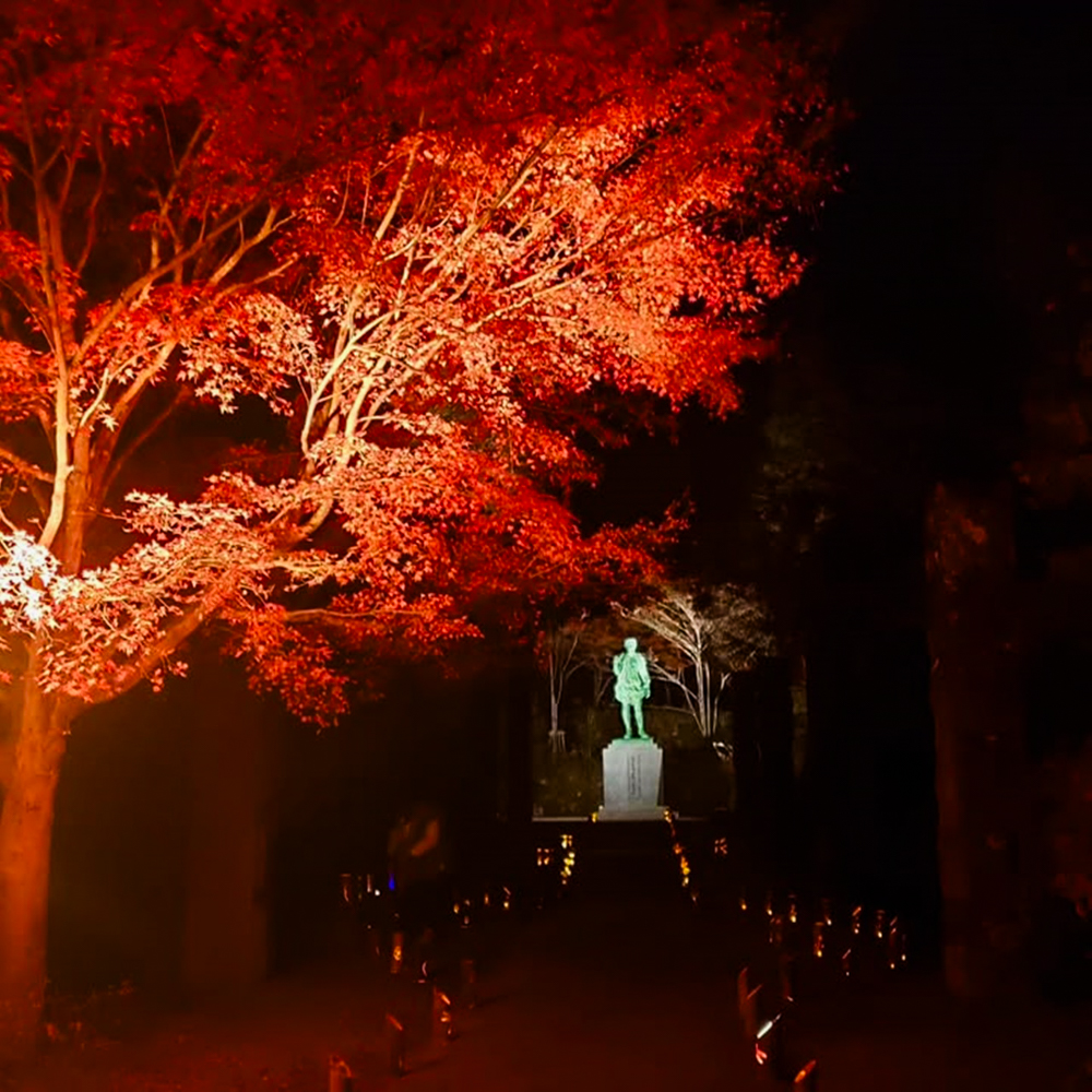 松平郷天下泰平の竹あかり、紅葉、11月秋、愛知県豊田市の観光・撮影スポットの名所