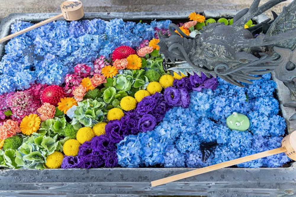 柳谷観音・楊谷寺、、花手水、あじさい、6月夏の花、京都府長岡京市の観光・撮影スポットの名所