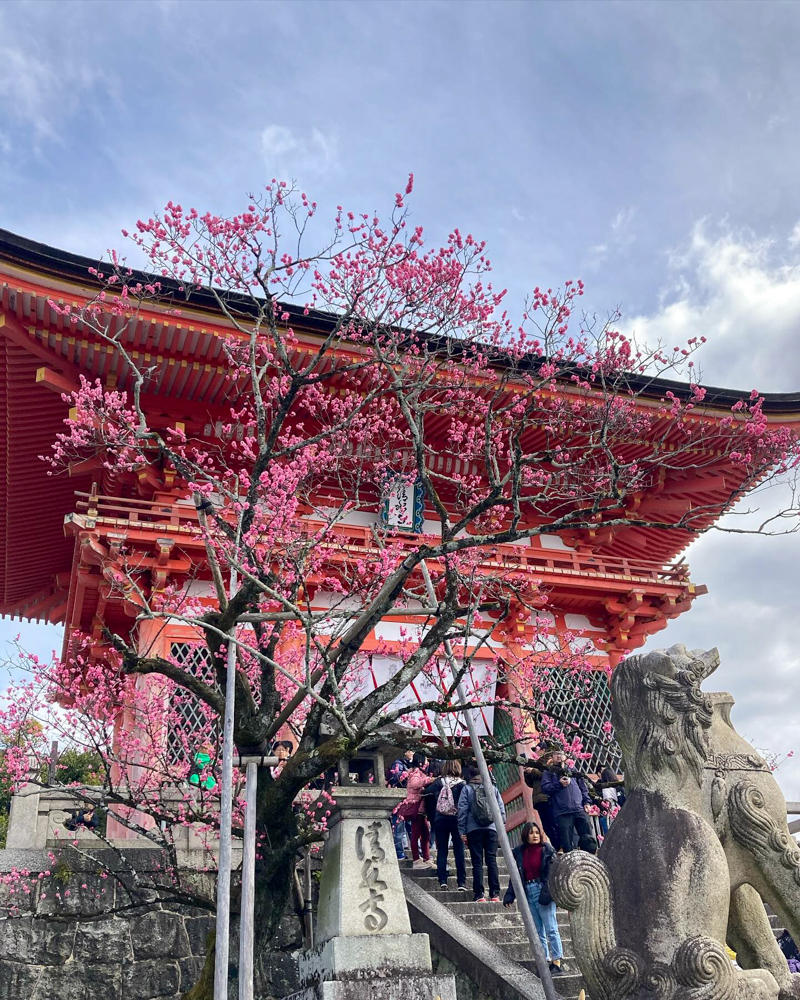 音羽山 清水寺、３月春、京都府京都市の観光・撮影スポットの名所