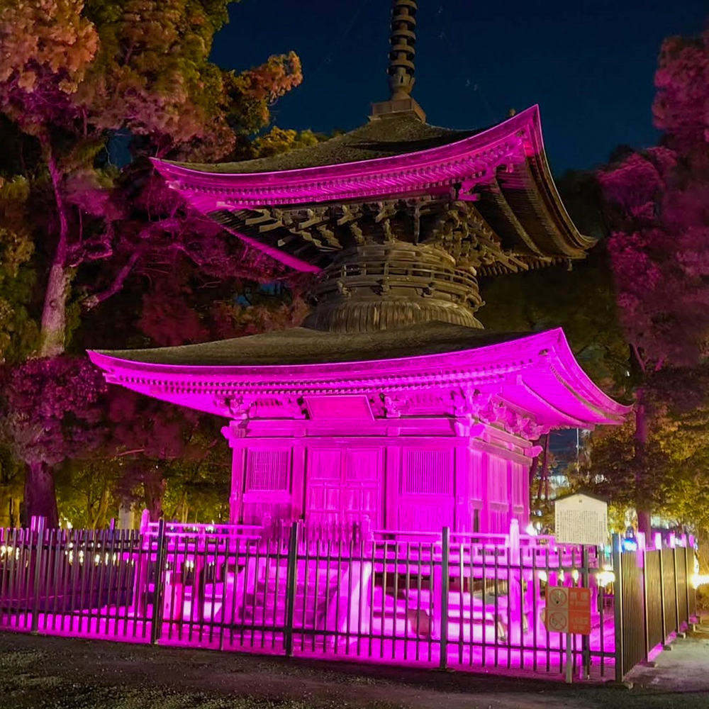 知立神社ファンタジードリームナイト 、2月冬、愛知県知立市の観光・撮影スポットの画像と写真