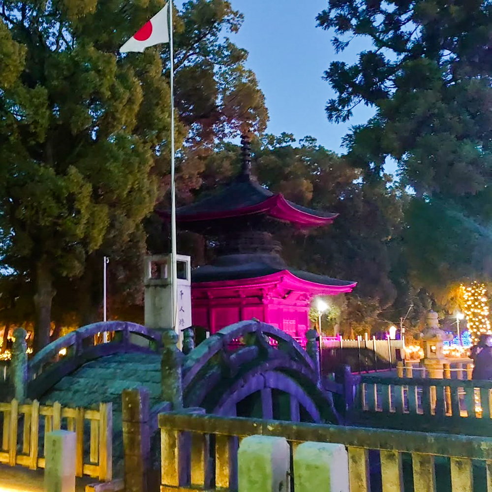 知立神社ファンタジードリームナイト 、2月冬、愛知県知立市の観光・撮影スポットの画像と写真