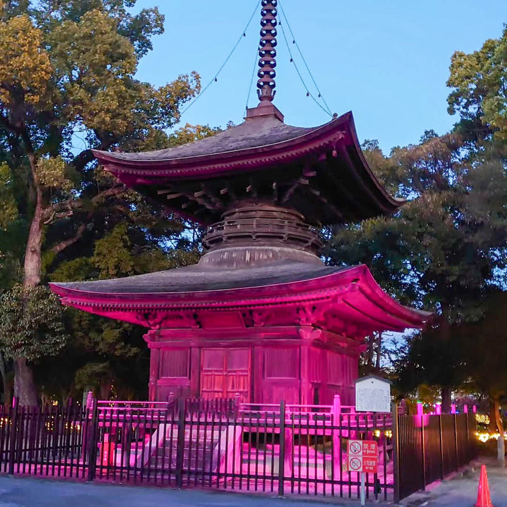 知立神社ファンタジードリームナイト 、2月冬、愛知県知立市の観光・撮影スポットの画像と写真