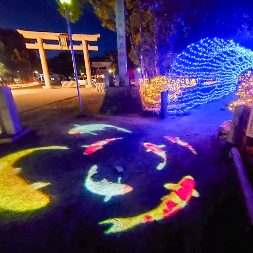 知立神社ファンタジードリームナイト 、2月冬、愛知県知立市の観光・撮影スポットの画像と写真