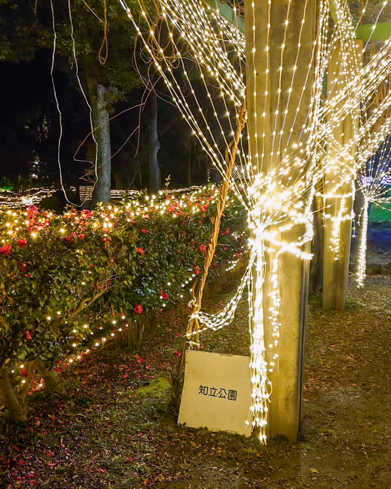 知立神社ファンタジードリームナイト 、2月冬、愛知県知立市の観光・撮影スポットの画像と写真