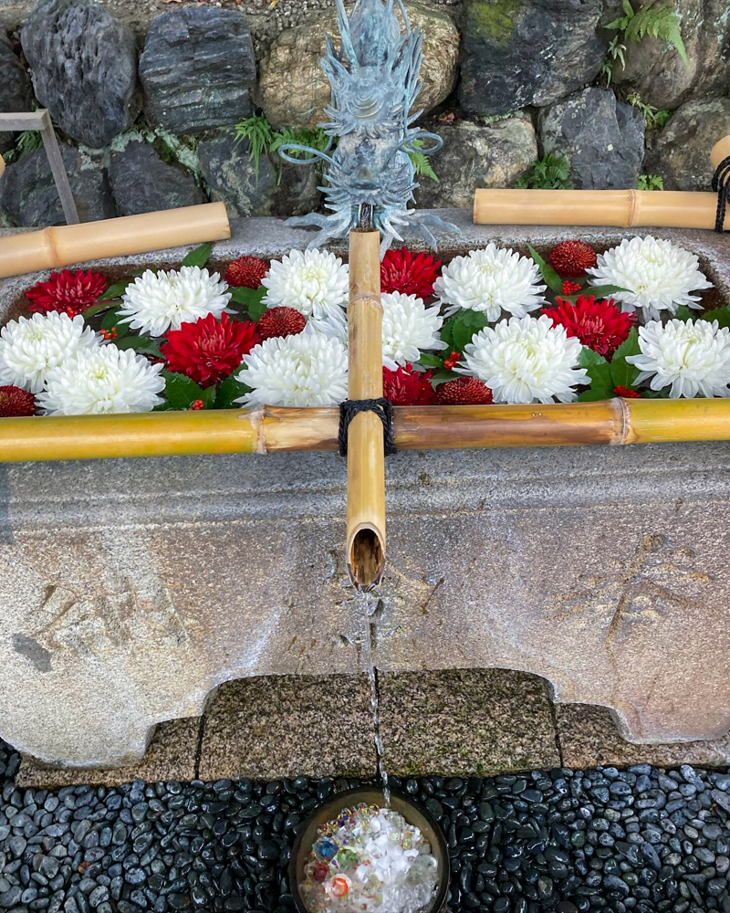 神戸宗社、花手水舎、1月冬、三重県鈴鹿市の観光・撮影スポットの名所