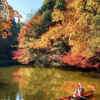 穴弘法、紅葉、女船頭、11月秋、岐阜県土岐市の観光・撮影スポットの画像と写真