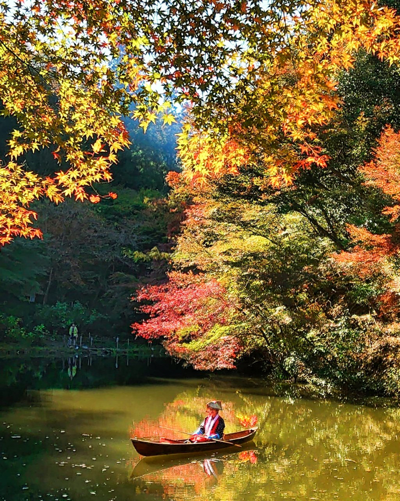 穴弘法、紅葉、女船頭、11月秋、岐阜県土岐市の観光・撮影スポットの画像と写真