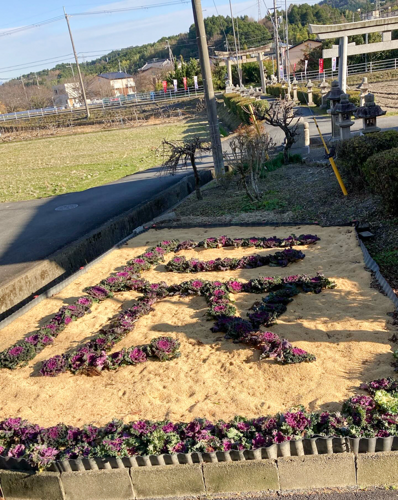 立志神社、12月冬、滋賀県湖南市の観光・撮影スポットの名所